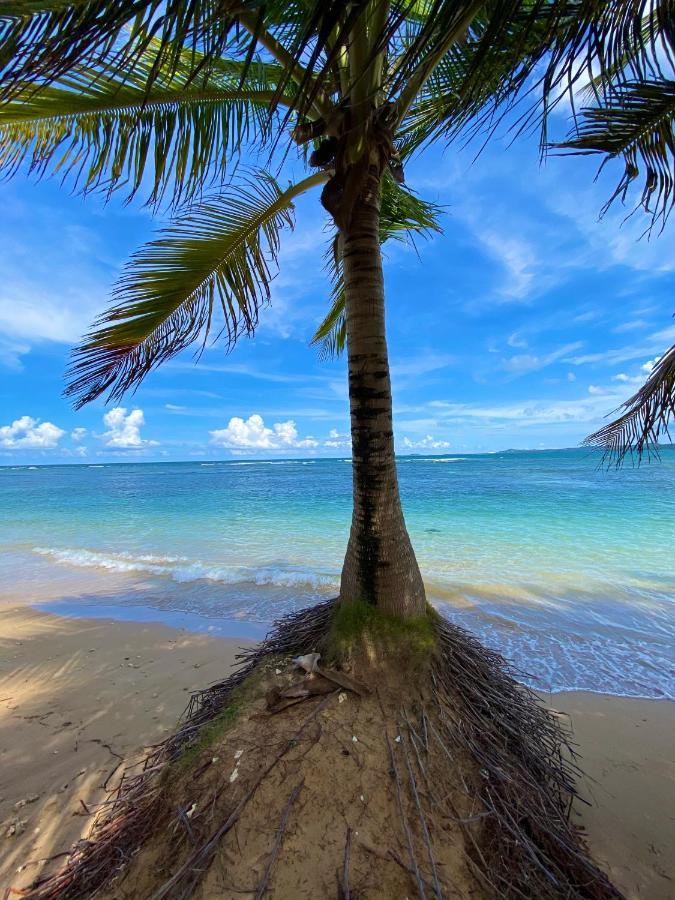 Cozy Beach Apartment Luquillo Dış mekan fotoğraf